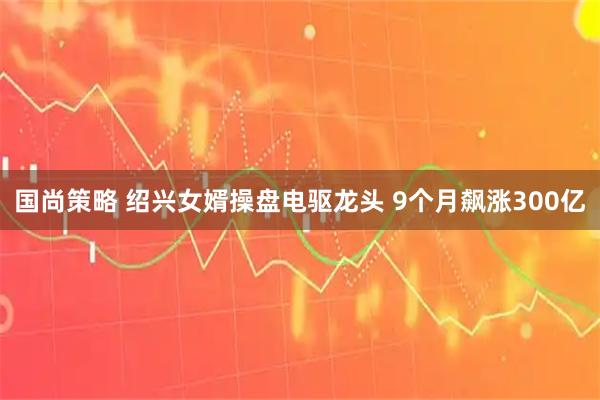 国尚策略 绍兴女婿操盘电驱龙头 9个月飙涨300亿