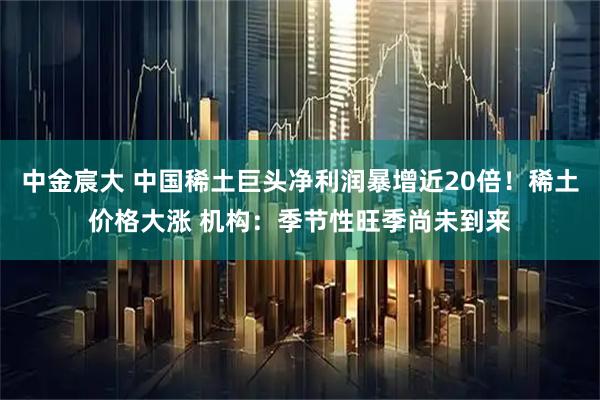 中金宸大 中国稀土巨头净利润暴增近20倍！稀土价格大涨 机构：季节性旺季尚未到来