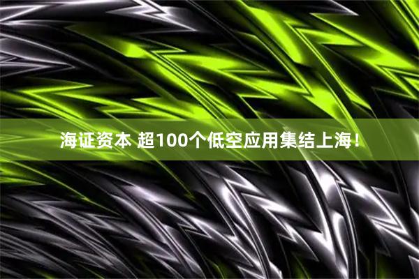 海证资本 超100个低空应用集结上海！