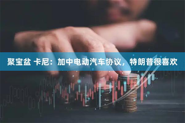 聚宝盆 卡尼：加中电动汽车协议，特朗普很喜欢