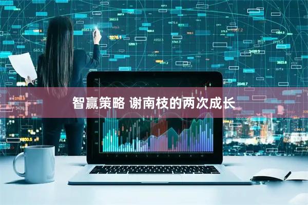 智赢策略 谢南枝的两次成长